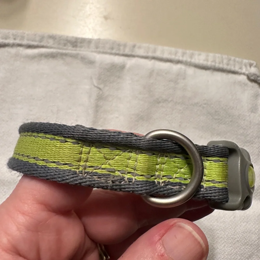 Coastal Dog Collar Small Bright Yellow Green
